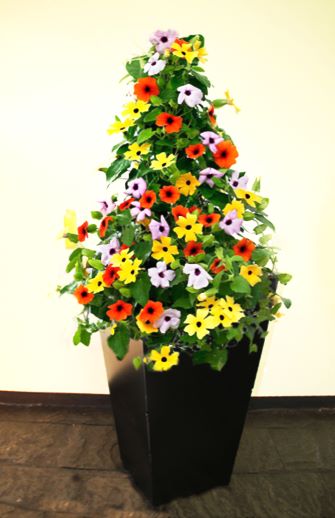 Home-Garden-Office